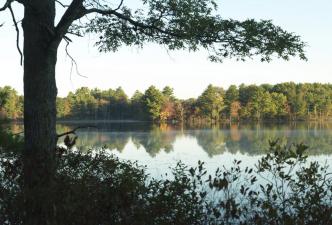 Tillinghast Pond Management Area