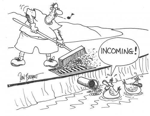 Stormwater Pollution Comic Strip